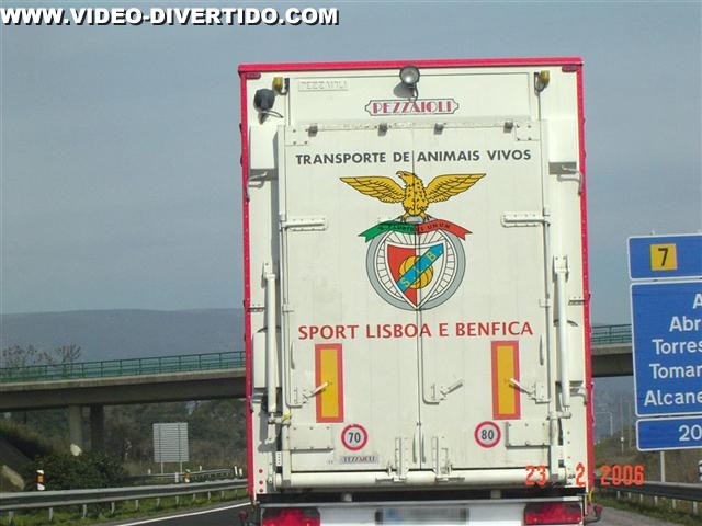 SLB - Transporte de Animais Vivos